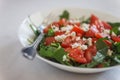 Tomato salad with basil, cheese, olive oil and garlic dressing o Royalty Free Stock Photo