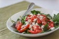 Tomato salad with basil, cheese, olive oil and garlic dressing o Royalty Free Stock Photo