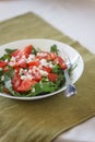 Tomato salad with basil, cheese, olive oil and garlic dressing o Royalty Free Stock Photo