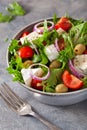 Tomato salad with brie cheese olives onion lettuce Royalty Free Stock Photo