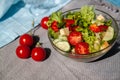 Tomato Salad With Feta Cheese, Spring Onion And Parsley. Healthy Summer Food Royalty Free Stock Photo