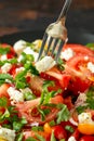 Tomato salad with feta cheese, spring onion and parsley. Healthy summer food Royalty Free Stock Photo