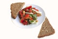 Tomato salad and rye bread Royalty Free Stock Photo