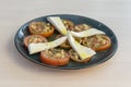 Tomato salad with soft cheese Royalty Free Stock Photo