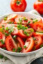 Tomato salad with spring onion and herbs in white bowl. Healthy summer food Royalty Free Stock Photo