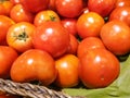 Tomato for sale at market Royalty Free Stock Photo