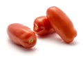 Tomato San Marzano Royalty Free Stock Photo