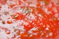 tomato sauce Royalty Free Stock Photo