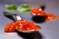 Tomato sauce in the spoon Royalty Free Stock Photo