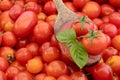 Tomato sauce on wooden spoon with cherry tomatoes and basil on background with tomatoes. Isolated photo Italian cuisine pasta