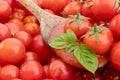 Tomato sauce on wooden spoon with cherry tomatoes and basil on background with tomatoes. Isolated photo Italian cuisine pasta