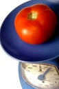 Tomato in scale Royalty Free Stock Photo