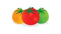 Tomato set. Colorful tomato collection. Photo-realistic vector tomatoes on white background.