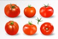 Tomato set. Yellow tomato. Photo-realistic vector tomatoes on transparent background.