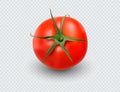 Tomato set. Red tomato collection. Photo-realistic vector tomatoes on transparent background