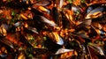 tomato shellfish seafood food mussels