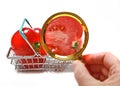 Tomato in the shopping cart close-up through a magnifying glass.