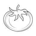 tomato sketch icon