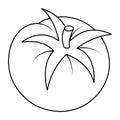 Tomato. Sketch. Vector illustration. Coloring book for kids. Doodle style. Outline on an isolated background.