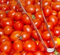 Tomato Slice Royalty Free Stock Photo