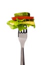 Tomato slice, lettuce, cucumber and cheese on fork Royalty Free Stock Photo