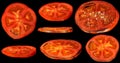 Tomato slices assorted set isolated