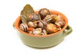 Tomato snails Royalty Free Stock Photo