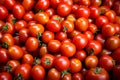 Tomato solanum lycopersicum pile for sale at the market Royalty Free Stock Photo