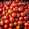 Tomato solanum lycopersicum pile for sale at the market Royalty Free Stock Photo