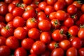 Tomato solanum lycopersicum pile for sale at the market Royalty Free Stock Photo