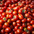 Tomato solanum lycopersicum pile for sale at the market Royalty Free Stock Photo