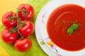 Tomato soup Royalty Free Stock Photo