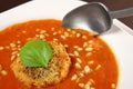 Tomato soup Royalty Free Stock Photo