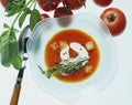 Tomato soup