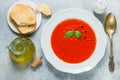 Tomato soup with Basil and spices in a white plate Royalty Free Stock Photo