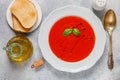 Tomato soup with Basil and spices in a white plate Royalty Free Stock Photo