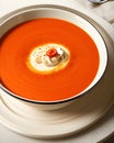 Tomato soup bowl Royalty Free Stock Photo