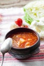 Tomato soup with cabbage and cauliflower Royalty Free Stock Photo