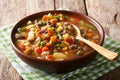 Tomato soup with ground beef and vegetables close-up on the table. horizontal Royalty Free Stock Photo