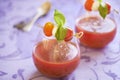 Tomato soup with mozzarella and basil Royalty Free Stock Photo