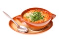 Tomato soup, parsley isolated white background Royalty Free Stock Photo