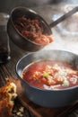 Tomato soup with vegetables and meat is poured into a bowl from the ladle from which steam comes, tasty, appetizing