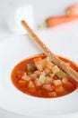 Tomato soup Royalty Free Stock Photo