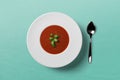 Tomato soup in white plate with green herb on the top