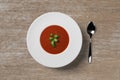 Tomato soup in white plate with green herb on the top