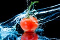 Tomato and splash water Royalty Free Stock Photo
