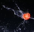 Tomato and splash water Royalty Free Stock Photo