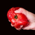 Hand squashing a juicy tomato Royalty Free Stock Photo