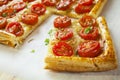 Tomato Tart Royalty Free Stock Photo