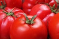 Tomato texture. Fresh big red tomatoes closeup background photo. Pile of tomatoes. Tomato pattern with studio lights. Royalty Free Stock Photo